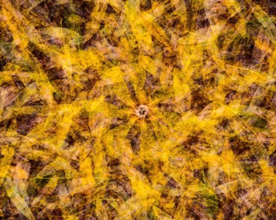 Autumn mosaic