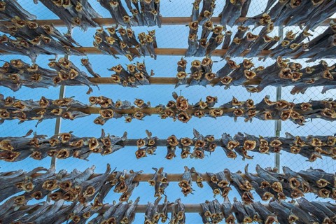Wooden frame with stockfish