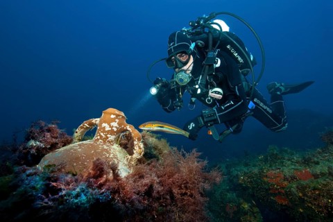 Divers and ancient amphora