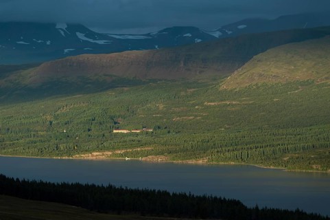 Hallormsstaoaskogur