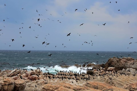 Stony Point Nature Reserve