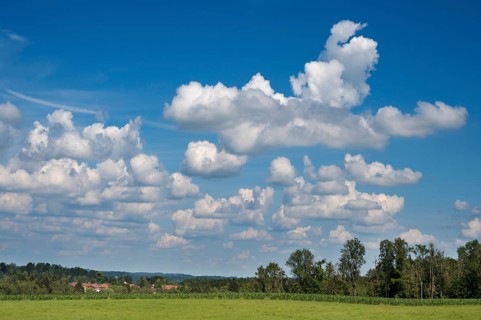 Cumulus clouds (Cumulus)