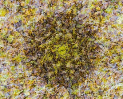 Autumn mosaic
