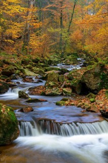 Autumn on the river Ilse in the Harz Mountains