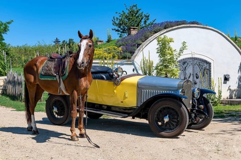 Horse and classic car Delage DISS