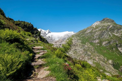 Hiking trail and mountain landscape with glacier Schlatenkees