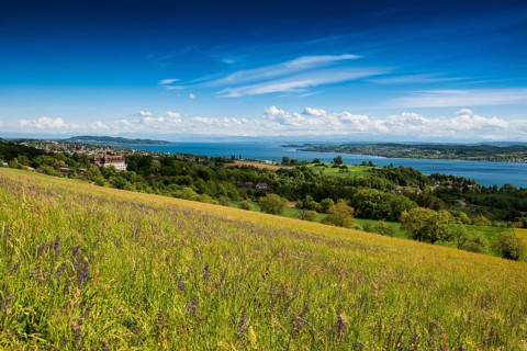View over Lake Constance
