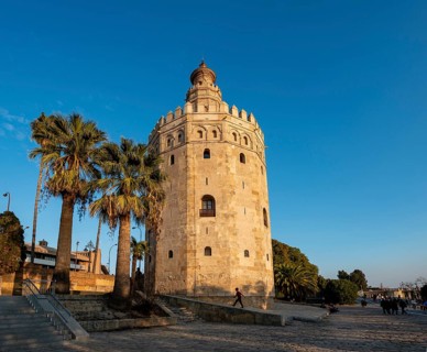 Gold Tower in the evening light