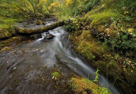 Creek