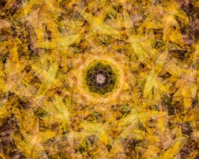 Autumn mosaic