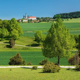 Juniper heath on the Zwing with view to the monastery Neresheim