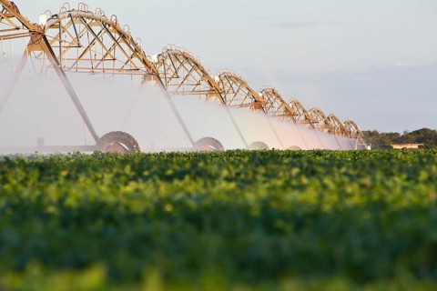 Irrigation of soybean crops at Luis Eduardo Magalhaes