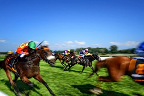 Jockey on racehorse