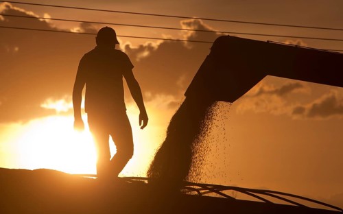 Worker Controls Unload of Soya Beans near Luis Eduardo Magalhaes