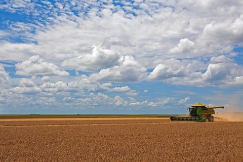 Soybean Mechanized Harvest near Luis Eduardo Mahalhaes
