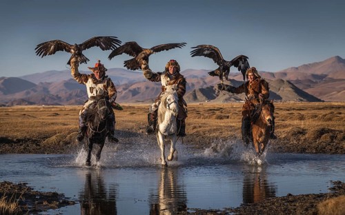 Mongolian eagle hunter