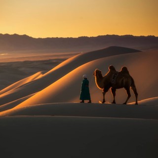 Enjoying beautiful sunset from the top of sand dunes. Umnugobi province
