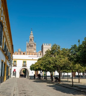 Patio de Banderas with bell tower La Giralda