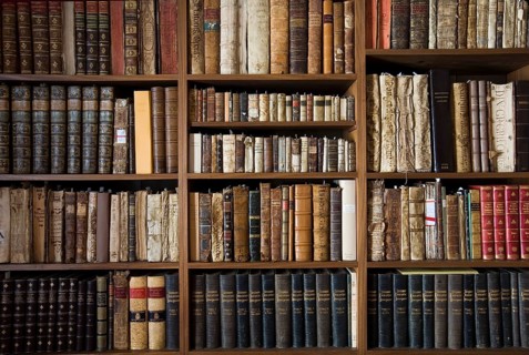 Library at the Vela de Cobos Palace