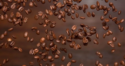 Arabiga coffee beans