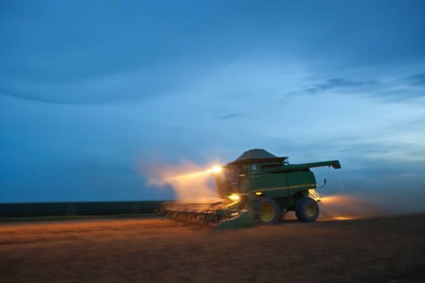 Late Afternoon Mechanized Soybean Harvest near Luis Eduardo Magalhaes