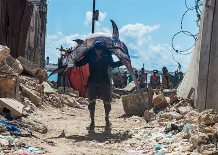 Man carrying a giant swordfish to the fishmarket of Mogadishu