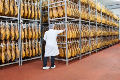Employee checks raw ham in the drying room