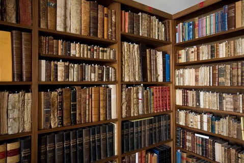 Library at the Vela de Cobos Palace
