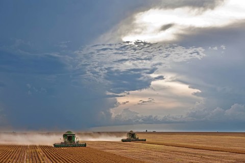 Soybean Mechanized Harvest near Luis Eduardo Mahalhaes