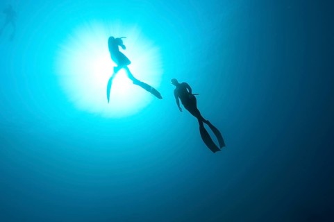 Freedivers