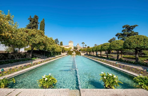 Garden with fountain