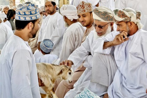 Locals trade goat at animal market