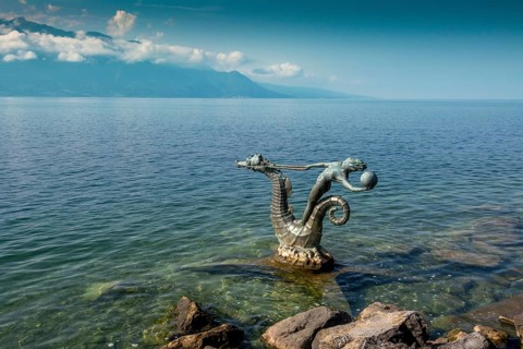 Seahorses on Lake Geneva