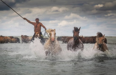 Mongolian horseman at Buir lake. Dornod province