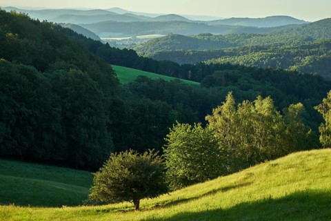 Milseburger Kuppenrhoen
