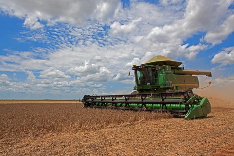 Soybean Mechanized Harvest near Luis Eduardo Mahalhaes
