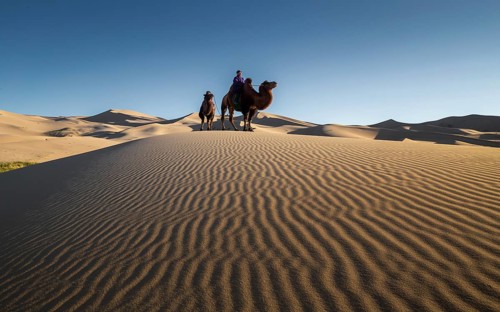 Sand patterns in Khongor sand dunes. Umnugobi province
