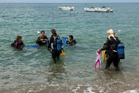 Diving in water