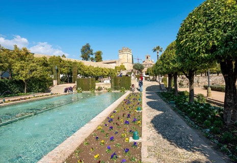 Garden with fountain