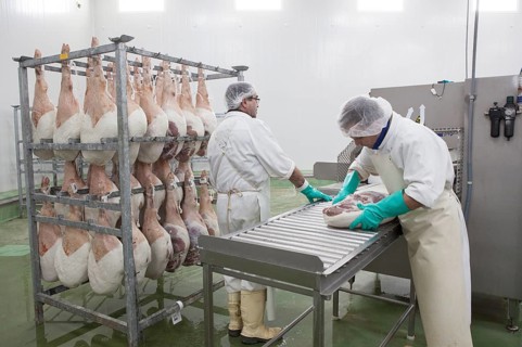 Quality control workers for cured ham