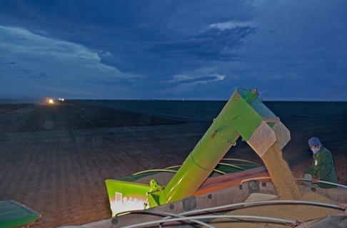 Late Afternoon Mechanized Soybean Harvest near Luis Eduardo Magalhaes