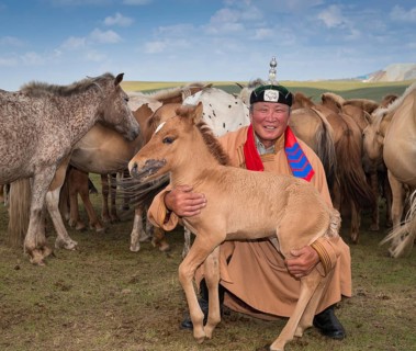 Shepherd with foal in front of his flock