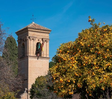 Tower of the Antico convento di San Francesco