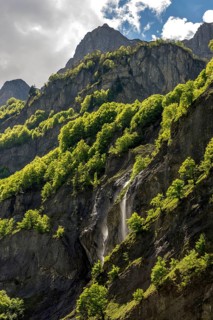 Rocky walls with trees