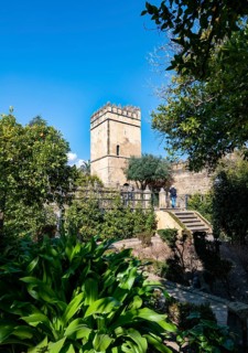 Tower and Garden of the Alcazar