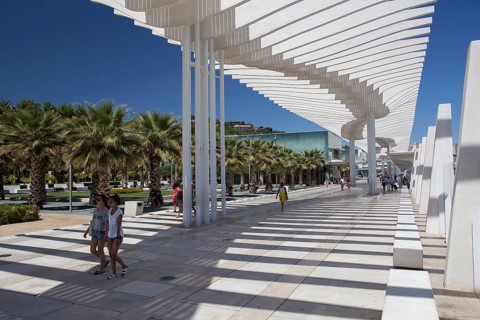 Tourists on the Palmeral de las sorpresas