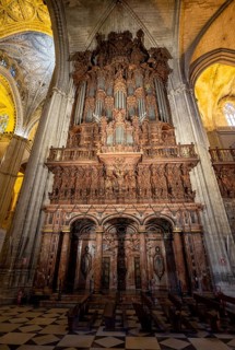 Organ