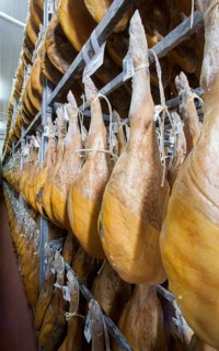 Cured ham in the drying chamber