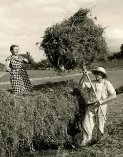 Hay reloading by hand
