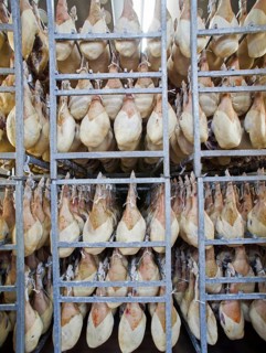 Cold store for raw ham